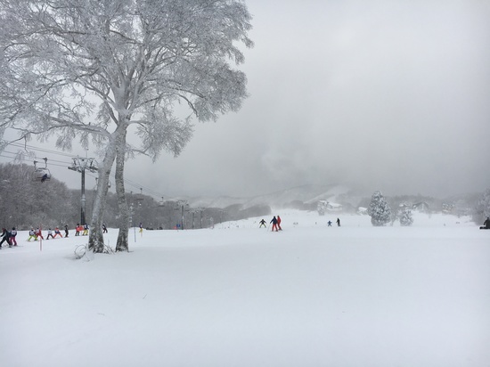 大雪|野沢温泉スキー場のクチコミ画像