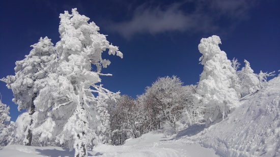 夢のような樹氷|蔵王温泉スキー場のクチコミ画像3