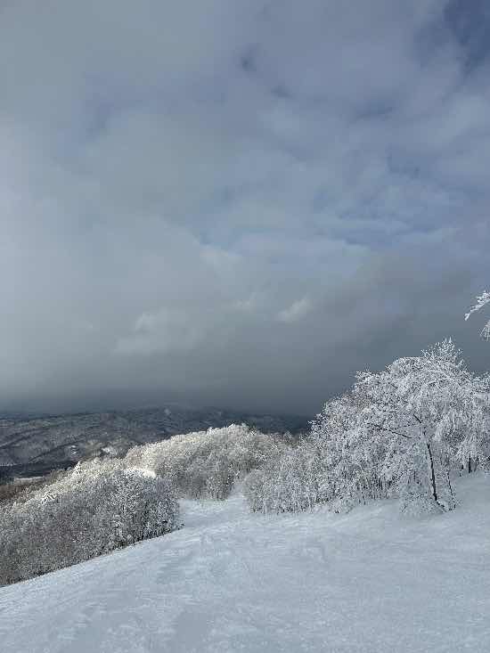 2回目カムイイン