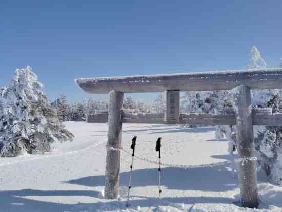 竜王ツアーコース