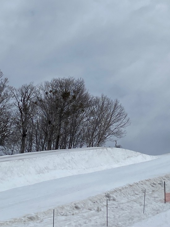 初来場でしたが|奥只見丸山スキー場のクチコミ画像3