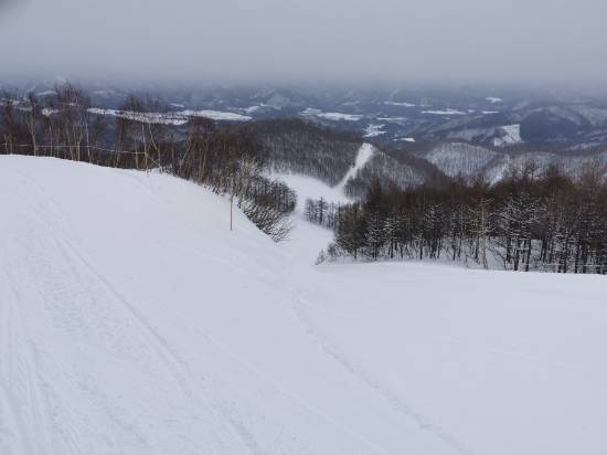 軽くていい雪がたくさん|オグナほたかスキー場のクチコミ画像
