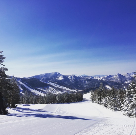 プリンススノーリゾートレビューキャンペーン|志賀高原 焼額山スキー場のクチコミ画像