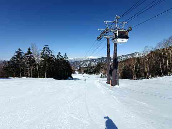 ワンダーランドかたしなレビューキャンペーン