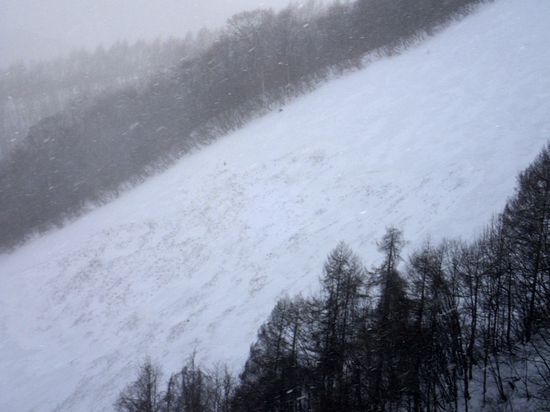 エキスパートコースの雪崩|ホワイトワールド尾瀬岩鞍のクチコミ画像