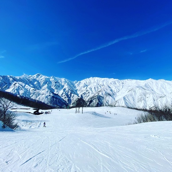 絶景とゲレ食|Hakuba47 ウインタースポーツパークのクチコミ画像