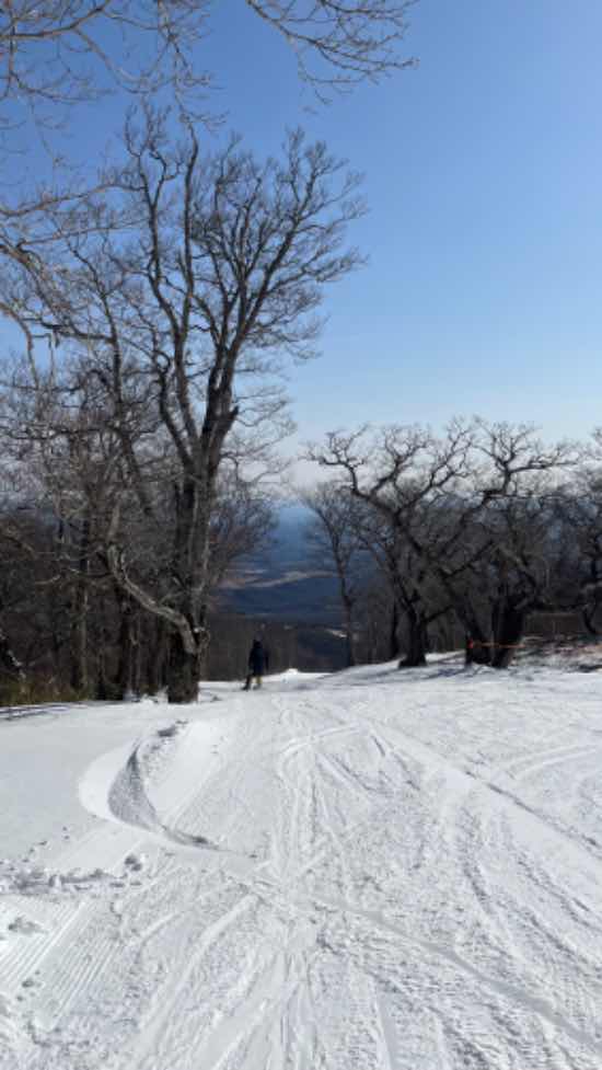 ラストシーズン|のクチコミ画像