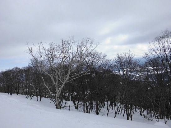 雪が少し物足りない|ヘブンスそのはら SNOW WORLDのクチコミ画像