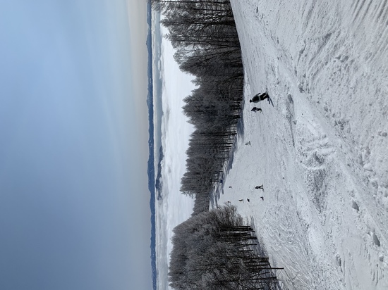 楽しすぎる|妙高杉ノ原スキー場のクチコミ画像2