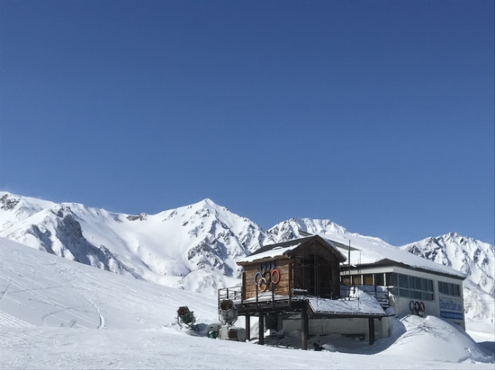 雪がつくった芝生|白馬八方尾根スキー場のクチコミ画像2