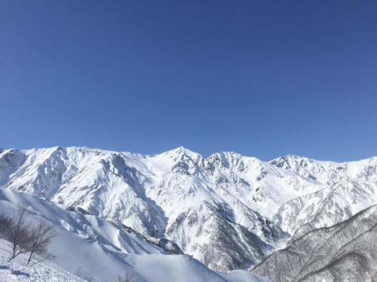 雪がつくった芝生|白馬八方尾根スキー場のクチコミ画像3