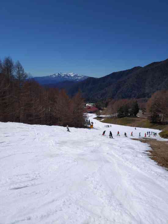 ワンダーランドかたしなレビューキャンペーン|丸沼高原スキー場のクチコミ画像
