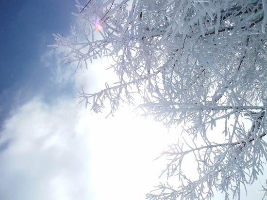 関越方面が大雪の悪天候でも・・・|のクチコミ画像
