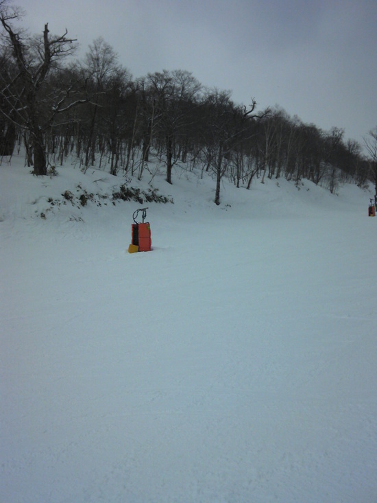 前日に雪が降り|のクチコミ画像