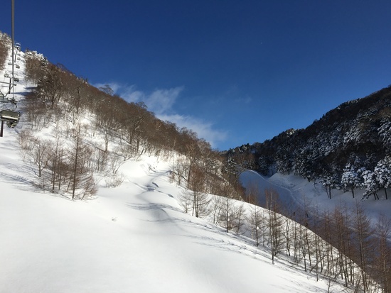 お客様第一号|川場スキー場のクチコミ画像