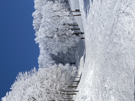 滑り応えあり|六日町八海山スキー場のクチコミ画像3