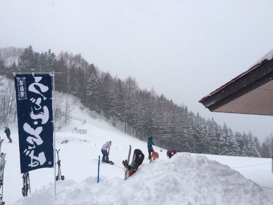 ワンダーランドかたしなレビューキャンペーン|のクチコミ画像