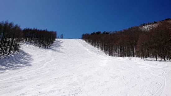 ワンダーランドかたしなレビューキャンペーン