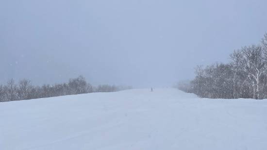 3月だけどパウダーでした。