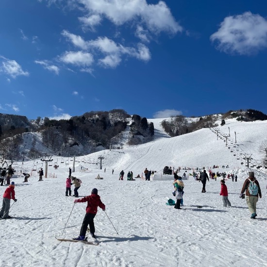 春スキーの様な雪質‼️