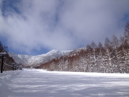 雪質サイコーでした|のクチコミ画像