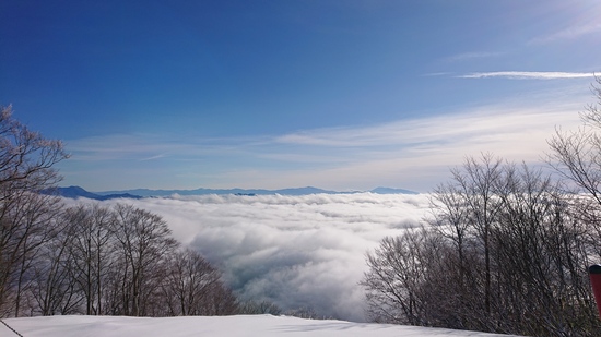 雪不足を痛感！|Hakuba47 ウインタースポーツパークのクチコミ画像