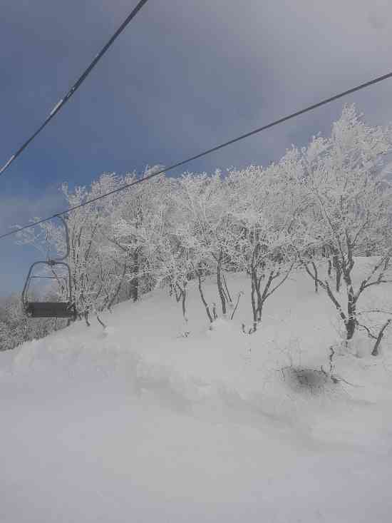 最後の霧氷？