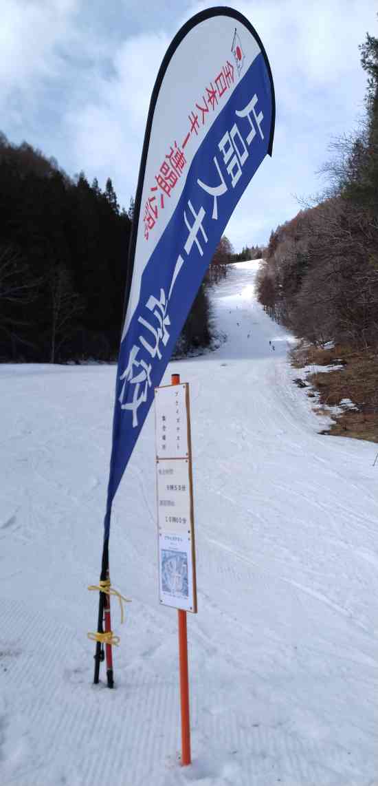 ワンダーランドかたしなレビューキャンペーン