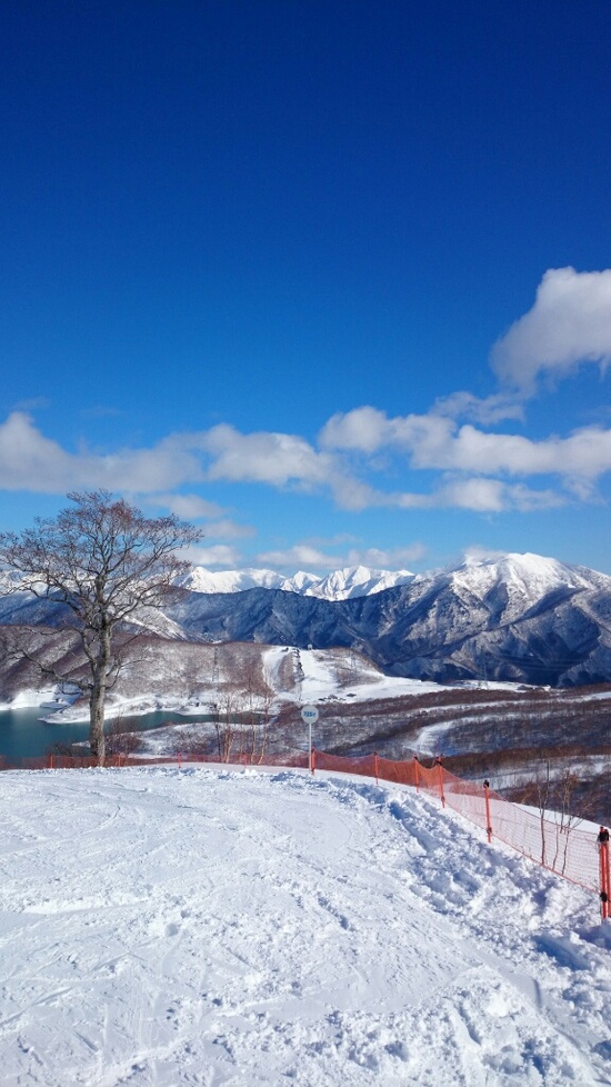 絶景|かぐらスキー場のクチコミ画像