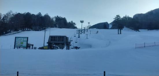 ワンダーランドかたしなレビューキャンペーン