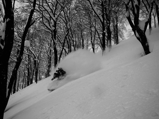 Japow！！|白馬コルチナスキー場のクチコミ画像