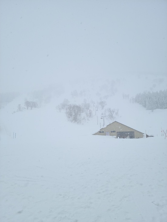 お気に入り