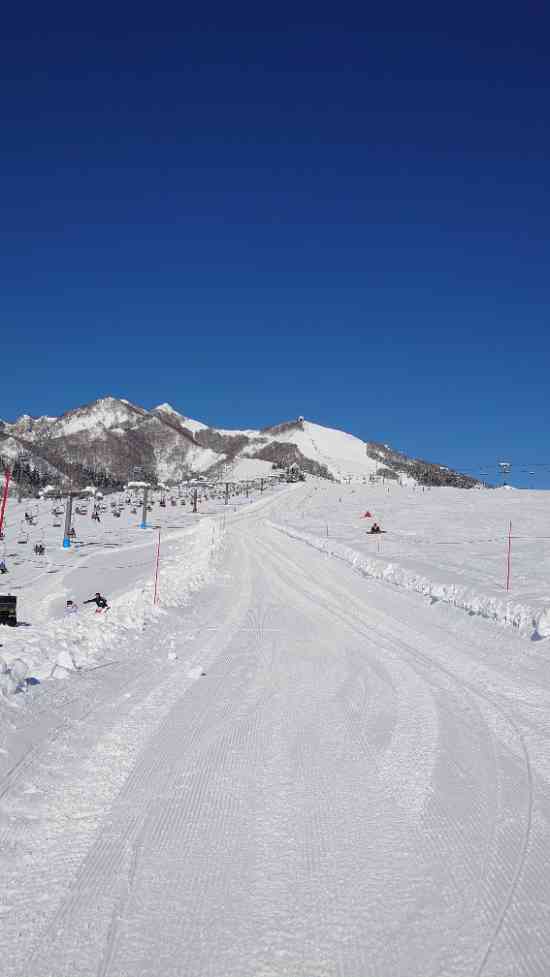 圧巻のソリコース|岩原スキー場のクチコミ画像2
