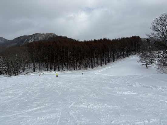 ワンダーランドかたしなレビューキャンペーン