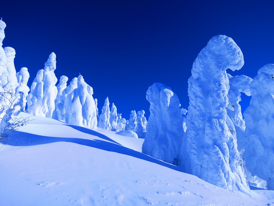 青空の下、樹氷見物|蔵王ライザワールドのクチコミ画像
