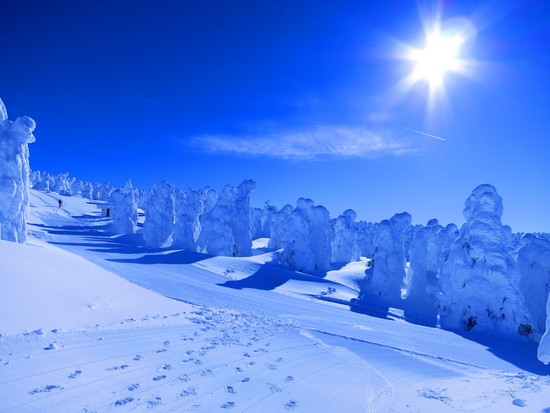 青空の下、樹氷見物|蔵王ライザワールドのクチコミ画像2