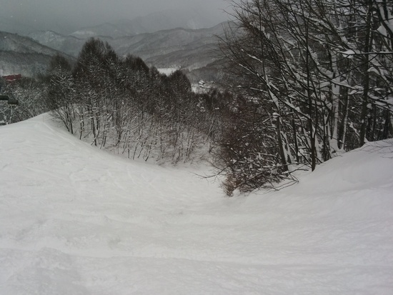 パウダー三昧だったけど、雪は重め|群馬みなかみほうだいぎスキー場（旧 宝台樹スキー場）のクチコミ画像