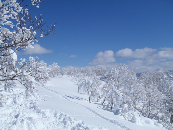 最高のパウダーと非圧雪|野沢温泉スキー場のクチコミ画像1