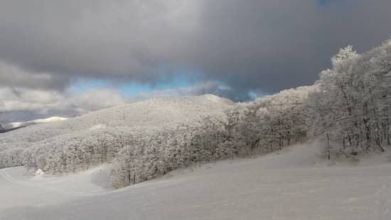 キラキラ|蔵王温泉スキー場のクチコミ画像3