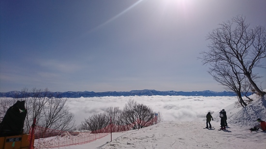 朝、雲海！|斑尾高原スキー場のクチコミ画像