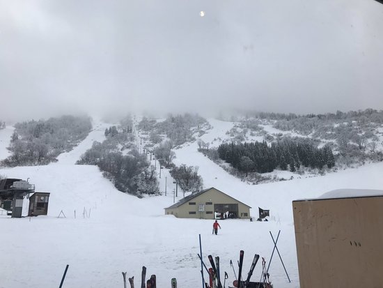 雪が豊富|のクチコミ画像