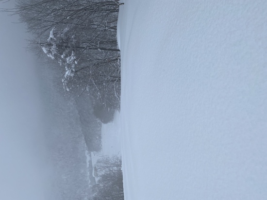 深雪コース|のクチコミ画像