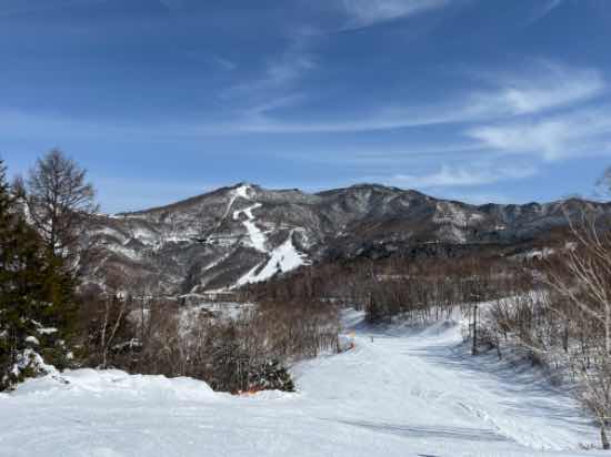 雪はあります|志賀高原リゾート中央エリア（サンバレー～一の瀬）のクチコミ画像