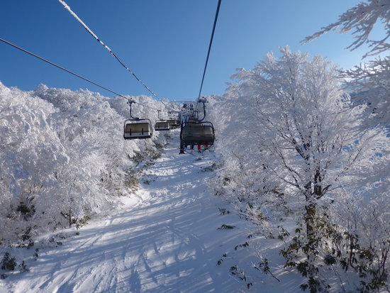 樹氷がきれい|箕輪スキー場のクチコミ画像