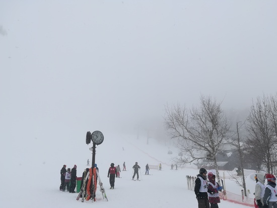 残念なスキー場|タングラムスキーサーカスのクチコミ画像2