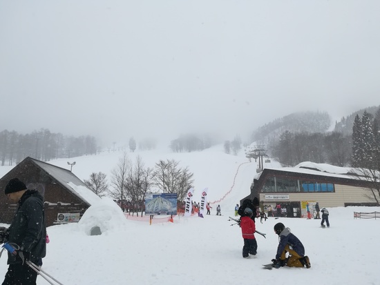 残念なスキー場|タングラムスキーサーカスのクチコミ画像3