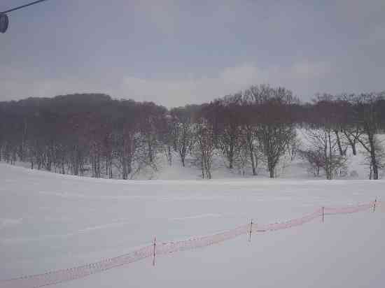 雪質最高でした。|たんばらスキーパークのクチコミ画像