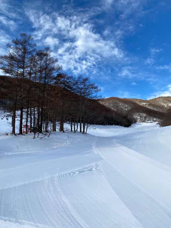 ワンダーランドかたしなレビューキャンペーン|オグナほたかスキー場のクチコミ画像