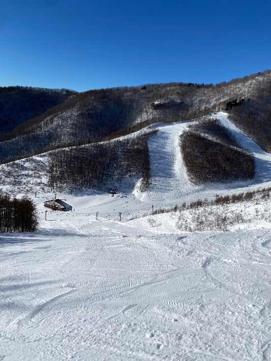 ワンダーランドかたしなレビューキャンペーン|オグナほたかスキー場のクチコミ画像2