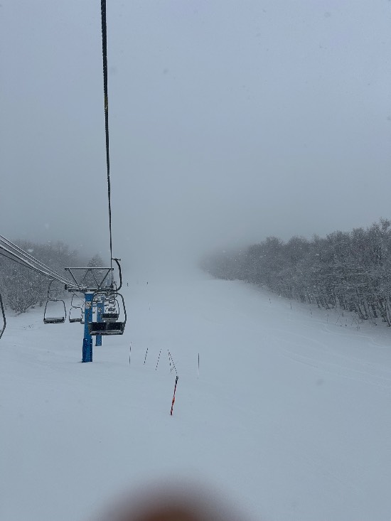 上っ面パウダー笑|ぴっぷスキー場のクチコミ画像